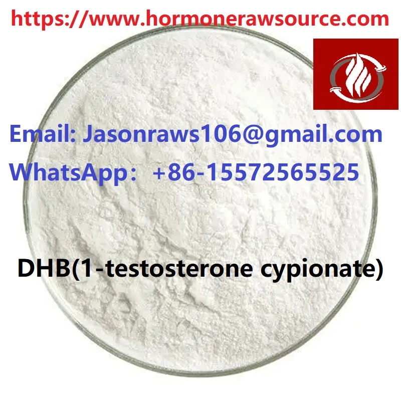 DHB (1-testosteron cypionate) serbuk steroid untuk CAS bina badan: 65-06-5