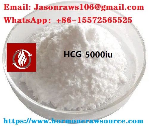 HCG (Gonadotropin Chorionic Manusia) Serbuk Bahan Mentah untuk Bina Bina Bina Bina Bina: 9002-61-3