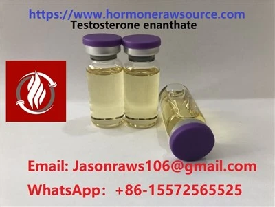 CAS Bina Badan BNP Testosteron Enanthate:315-37-7